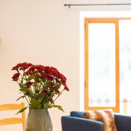 Apartament Deer House - Ski Box Gratuito Pré-Saint-Didier